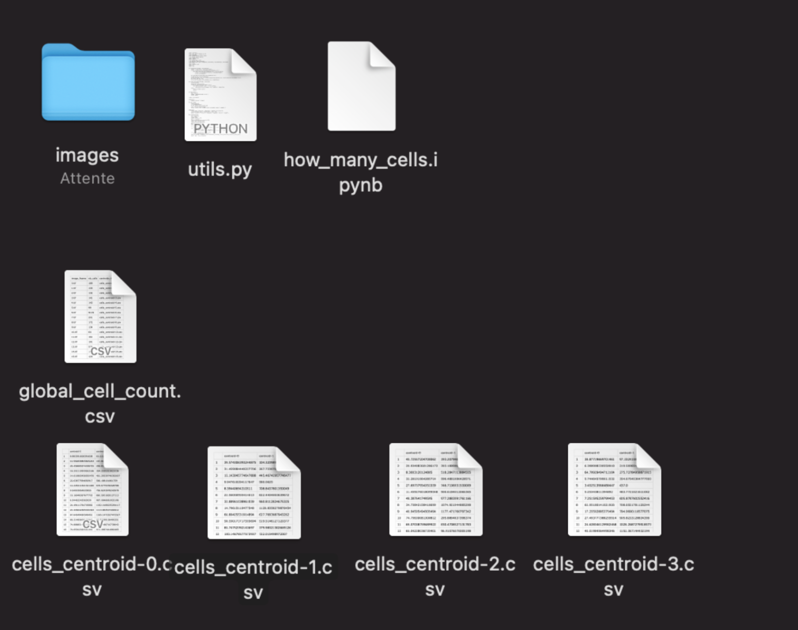 GitHub - sophiech05/Leaf-epithelium-analysis-using-Python