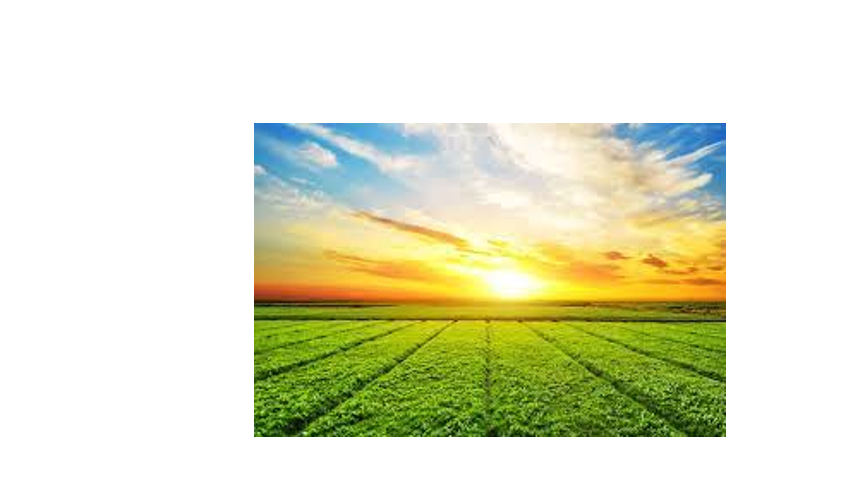 GitHub - Pallabpal/Weather-Prediction-Using-RNN: LSTM model for ...