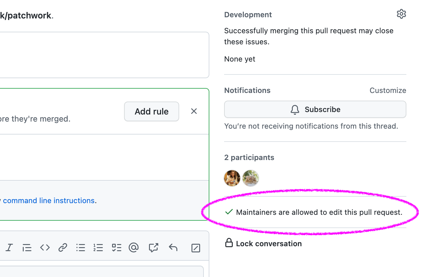 维护者可以编辑此拉取请求