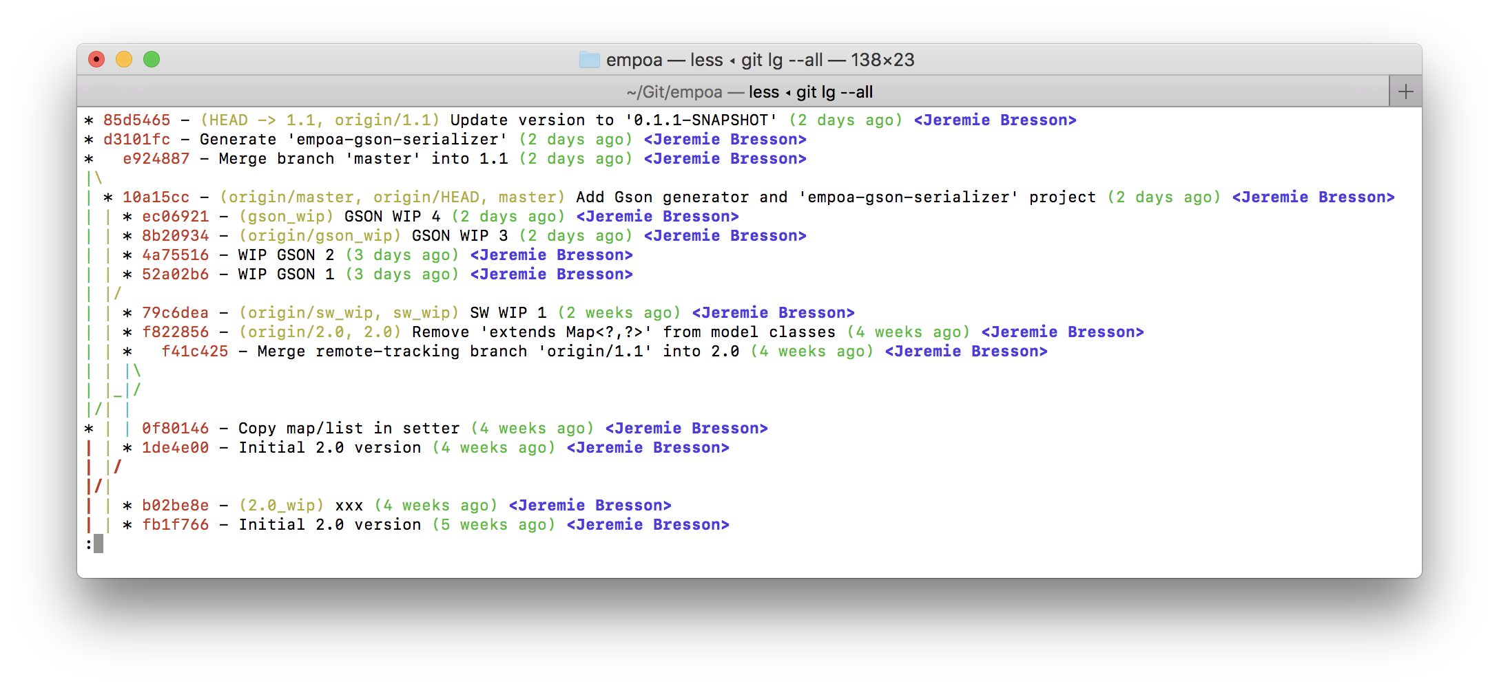 git lg in the terminal