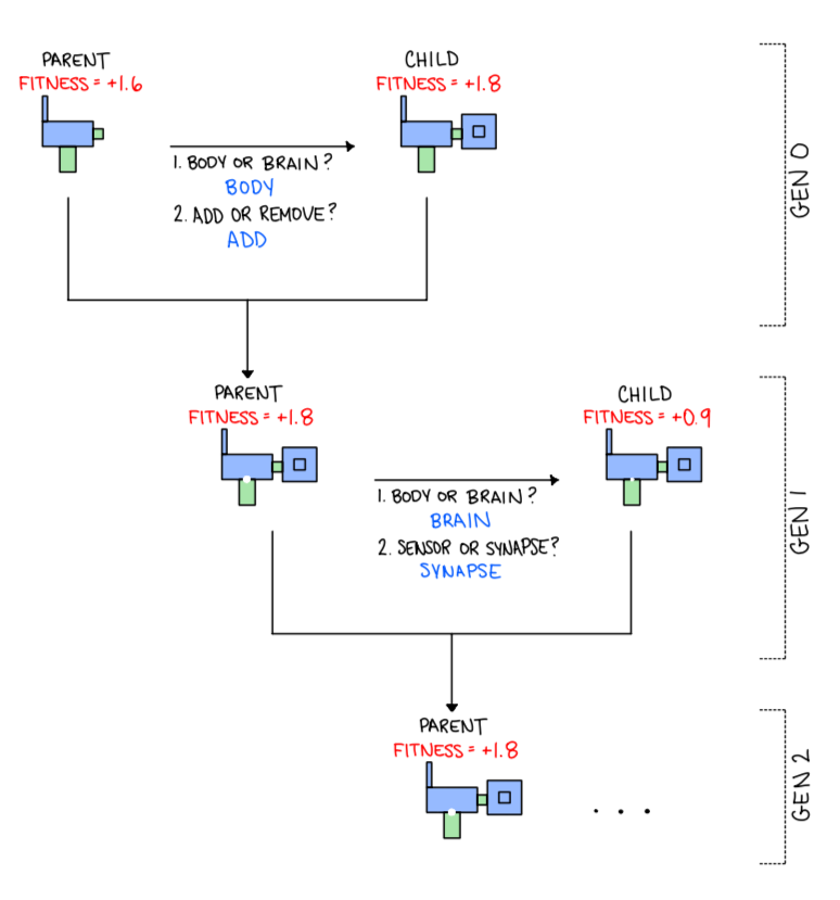 GitHub - madelinejoseph2027/final: Evolution: as much an art as it a ...