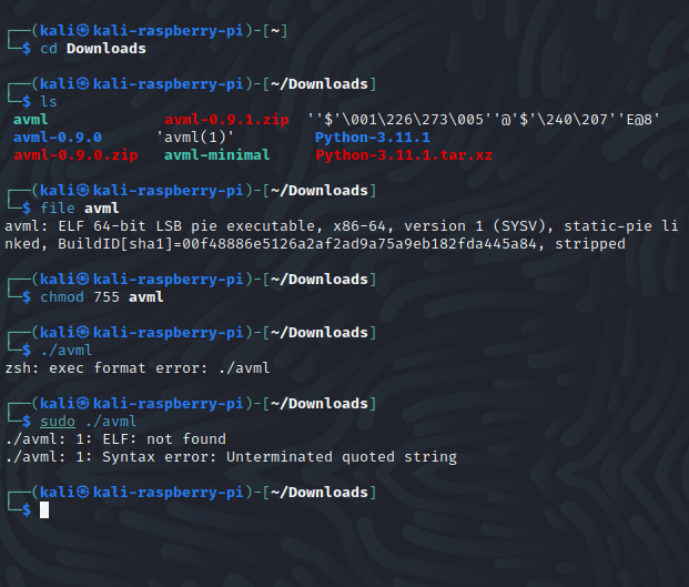 Rasberry pi4 based kali linux platform execution issue issue 247