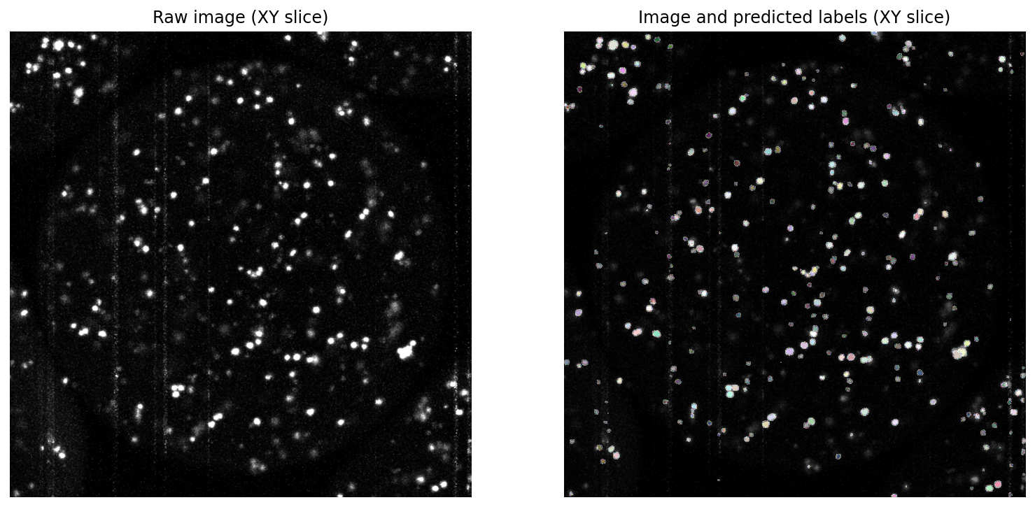 raw and processed image view