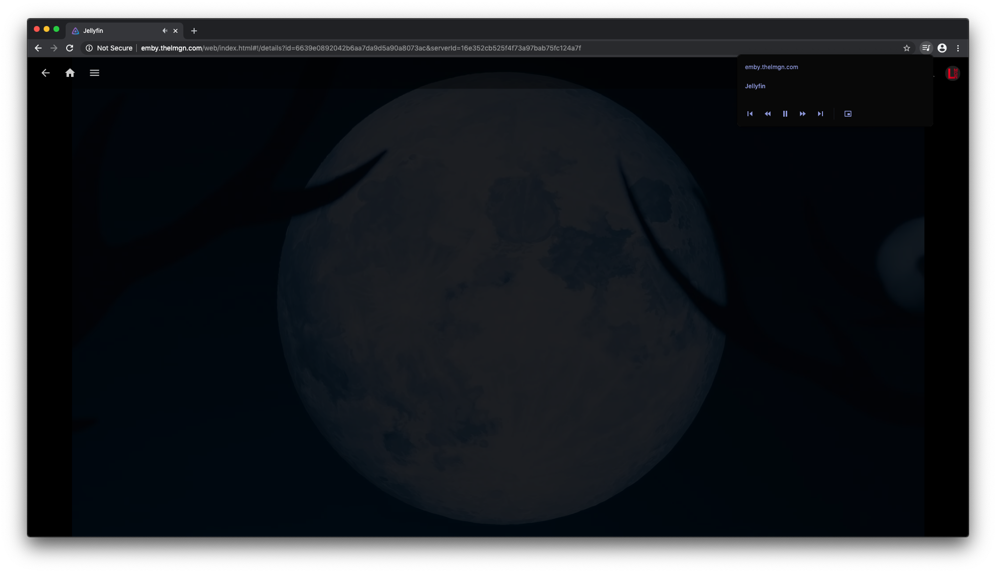 Animated backdrops/theme videos completely break web UI · Issue 1615