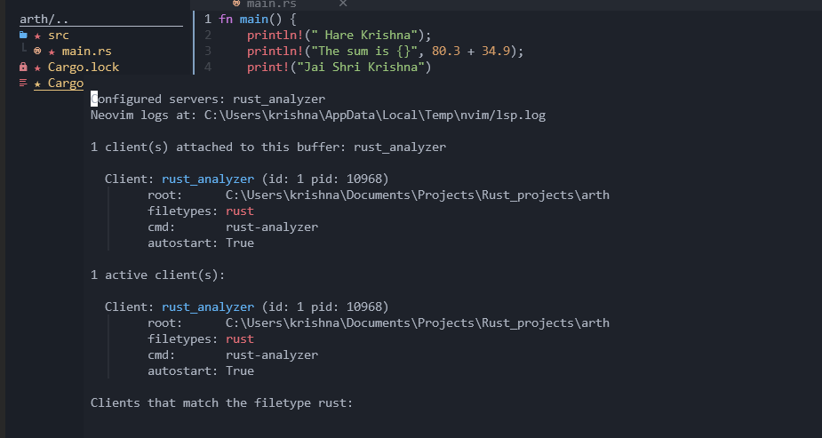 rust-tools setup issue · Issue #227 · NvChad/NvChad · GitHub