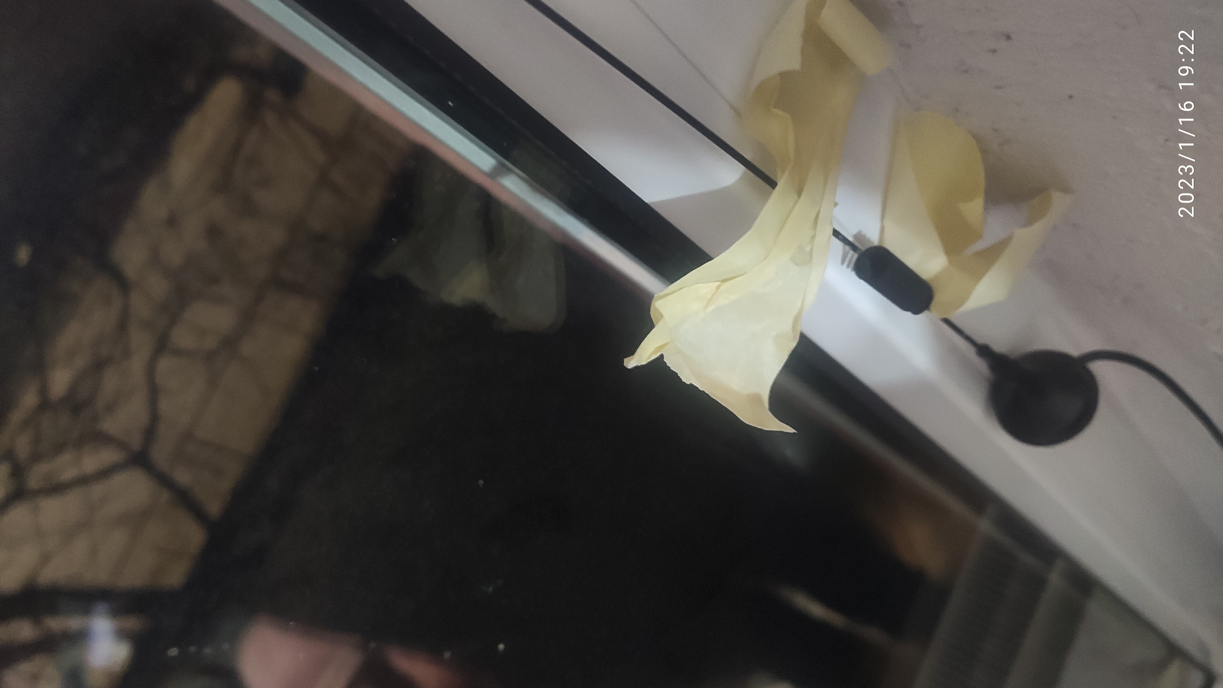IMG_20230116_192256