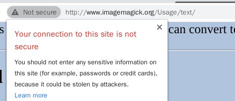 Website doesn't always redirect to HTTPS · Issue #2975 · ImageMagick ...