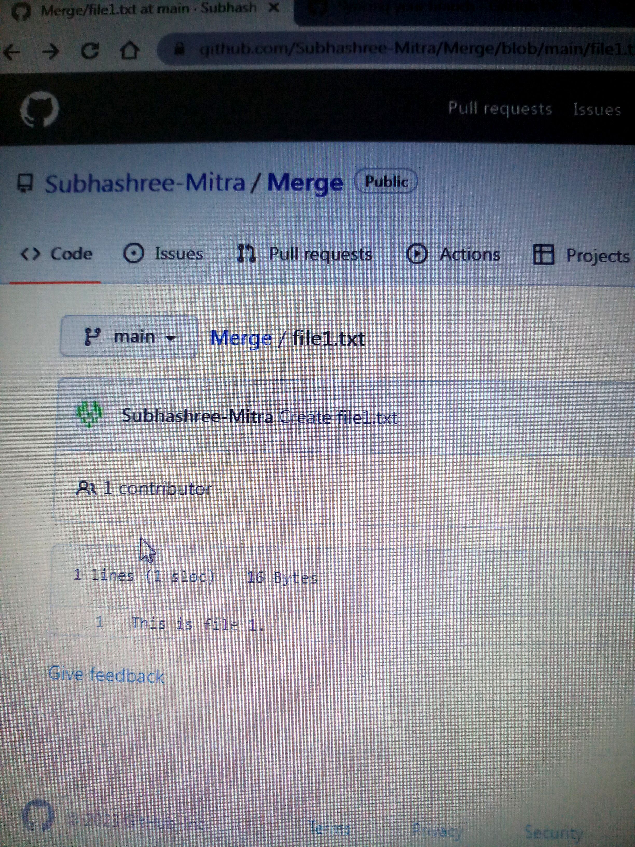 GitHub - Subhashree-Mitra/Merge