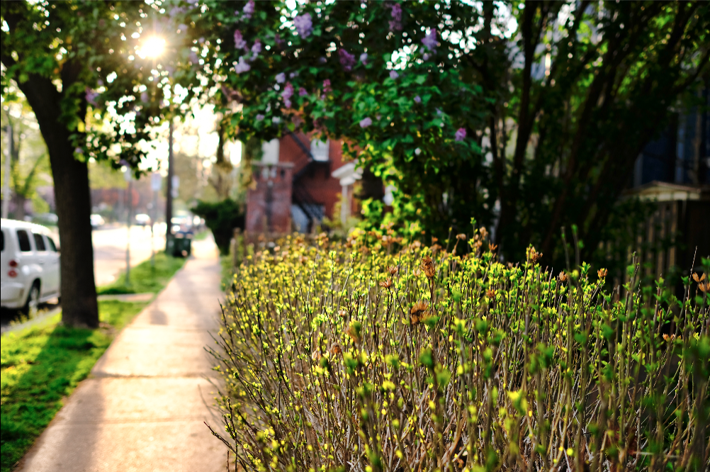 screen shot 2018-06-11 at 12 07 46 pm