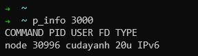 p_info