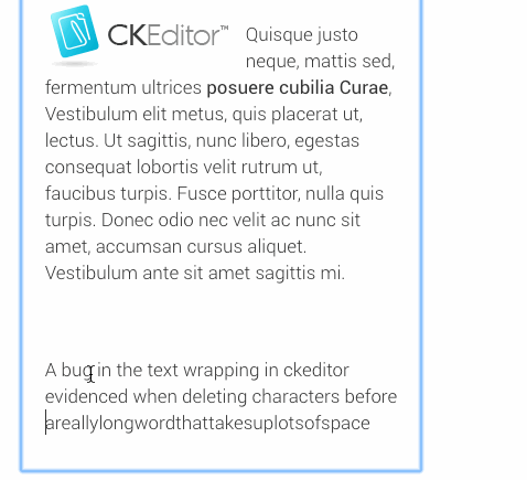 ckeditor bug