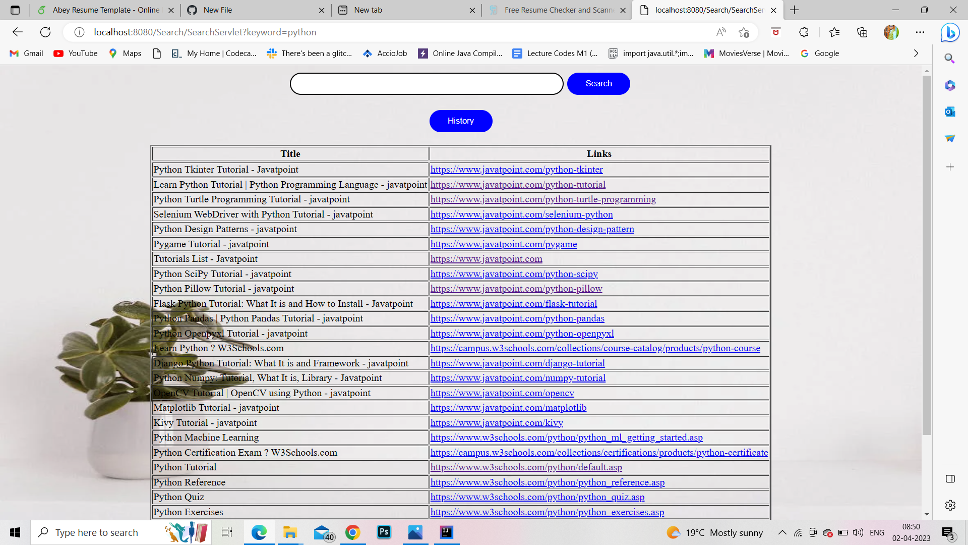 GitHub - codingbuz/Google-simple-Search-Engine: java