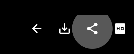 在iPad上图片分享按钮无法使用 · Issue #488 · Notsfsssf/pixez-flutter · GitHub