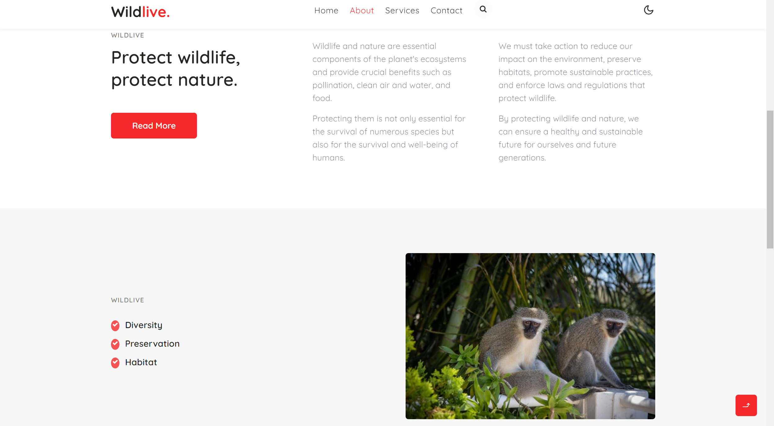 GitHub - SriSatya2712/Wildlife_Project