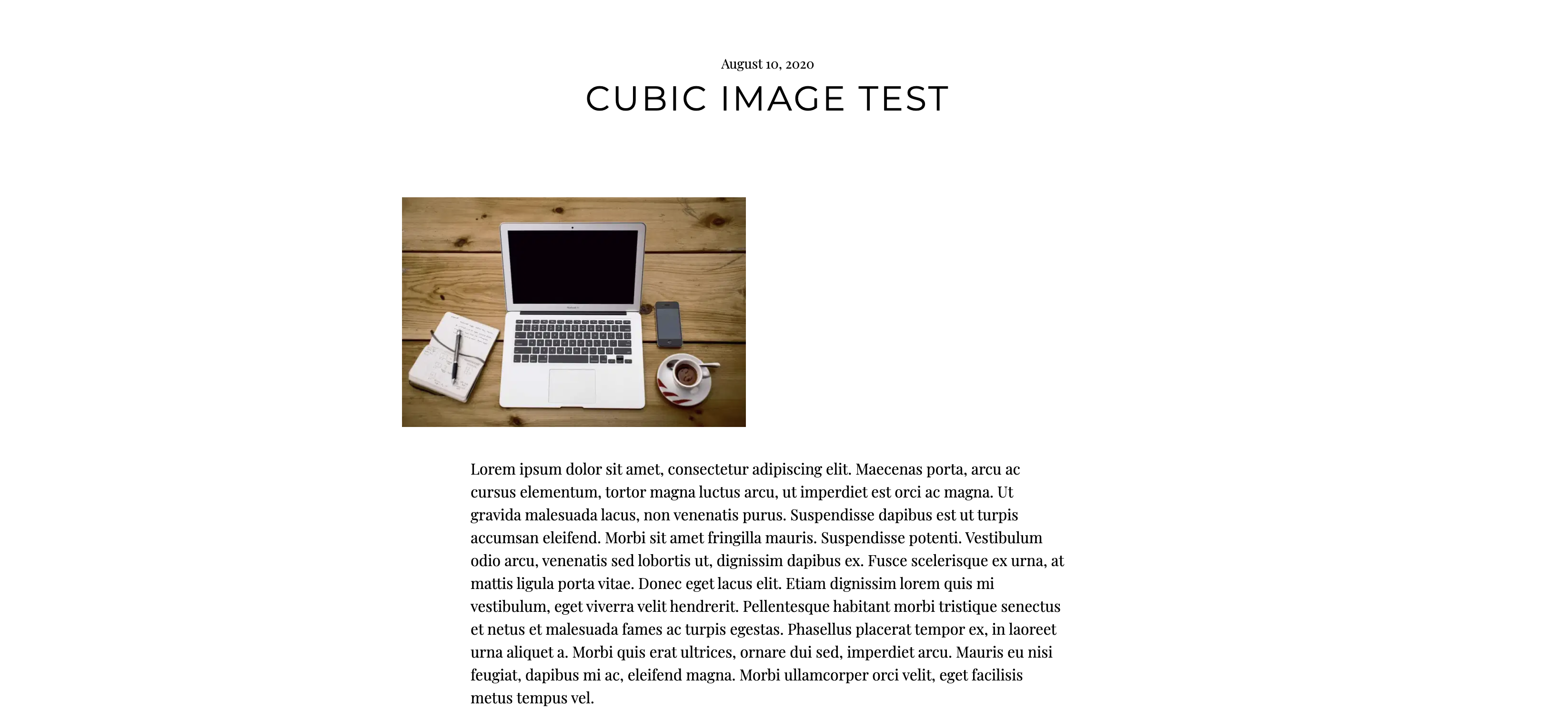 Screen Shot 2020-08-10 at 4 07 56 PM