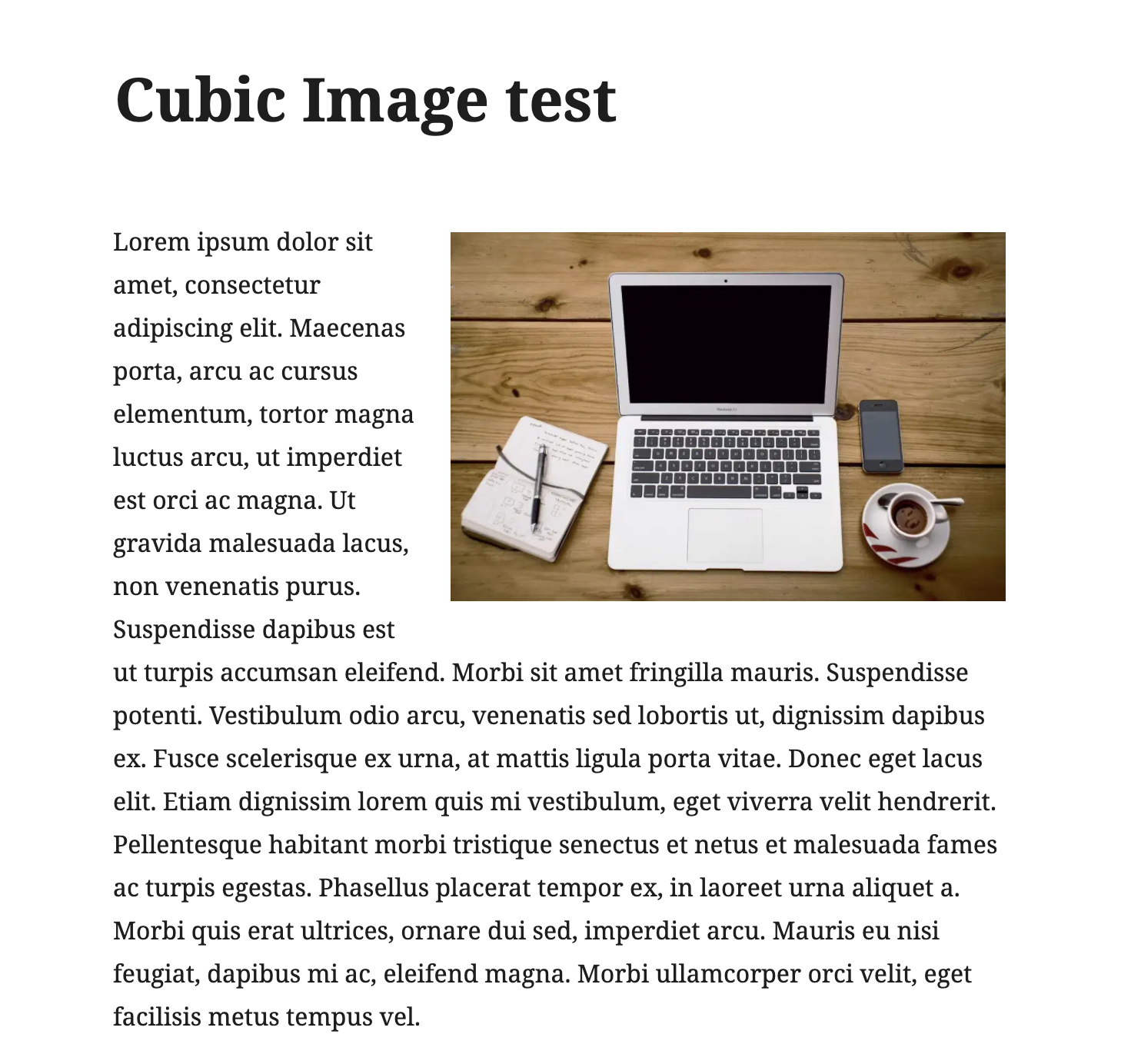 Screen Shot 2020-08-10 at 4 07 25 PM