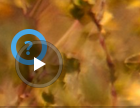 DeepinScreenshot_select-area_20220322072954