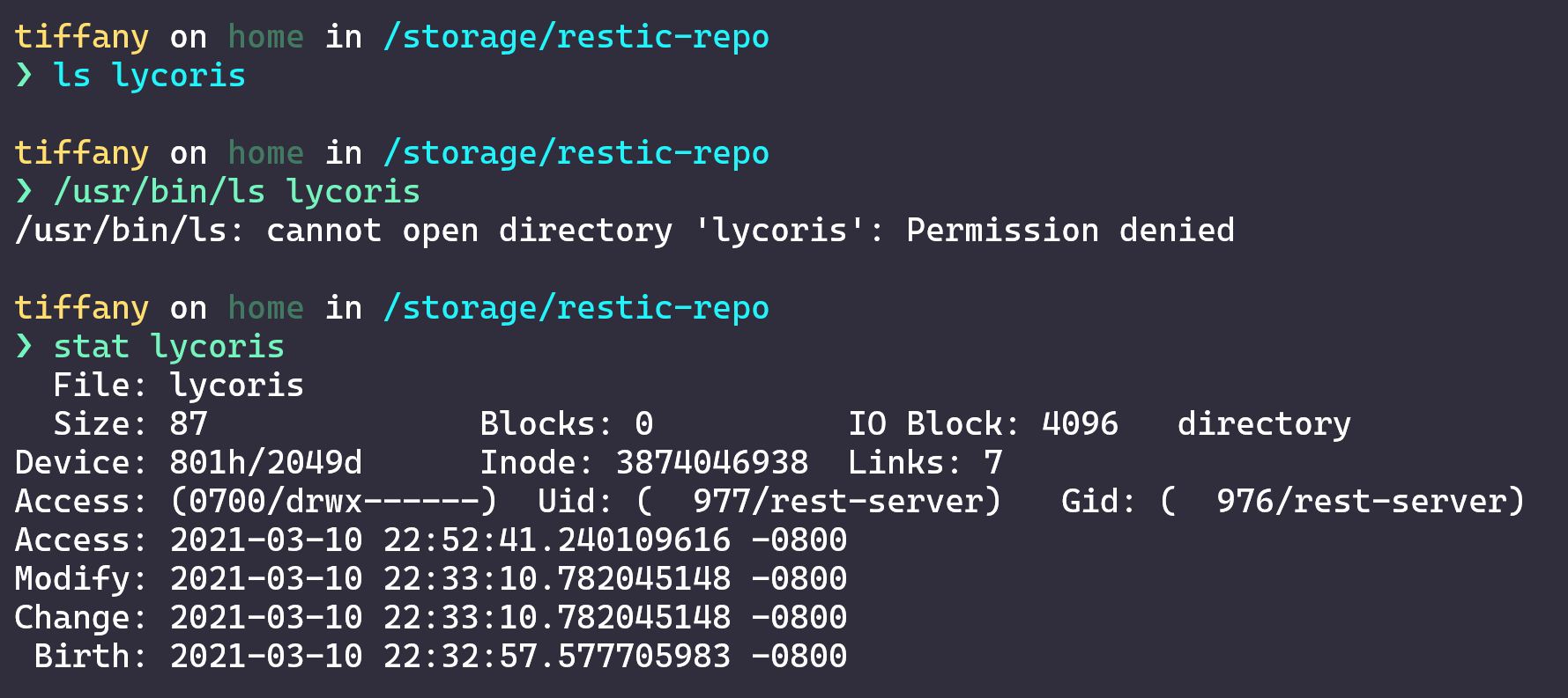 ls ignores secured files/directories · Issue #3157 · nushell/nushell ...