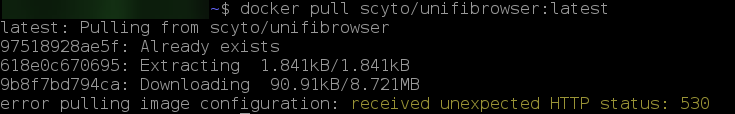 Unable to pull the image from dockerhub (HTTP Status: 530) · Issue #14 ...