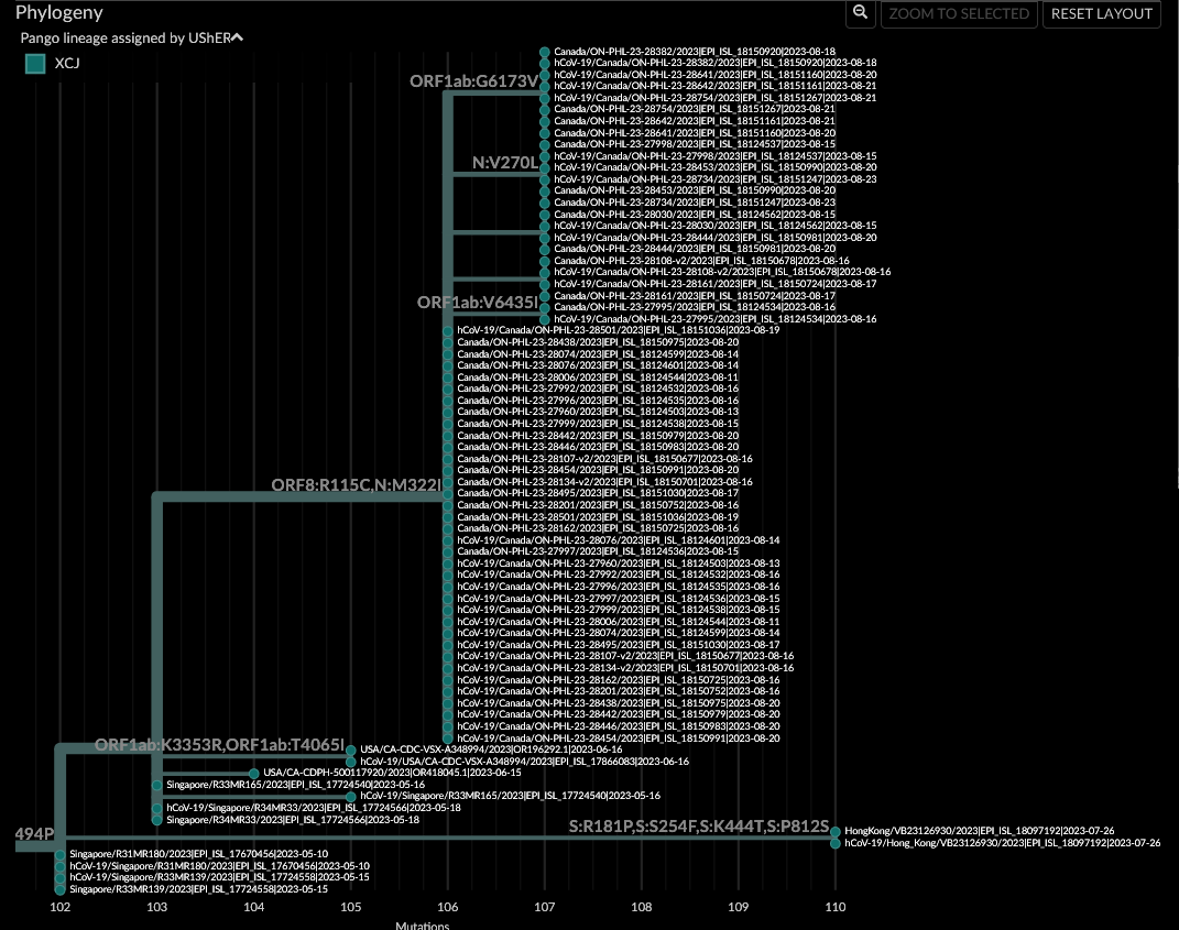 XCJ with further S:S494P (42 seqs, 4 countries) with a singlet got ...