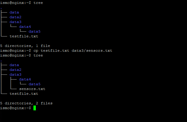 Linux tiedostojärjestelmä · GitHub