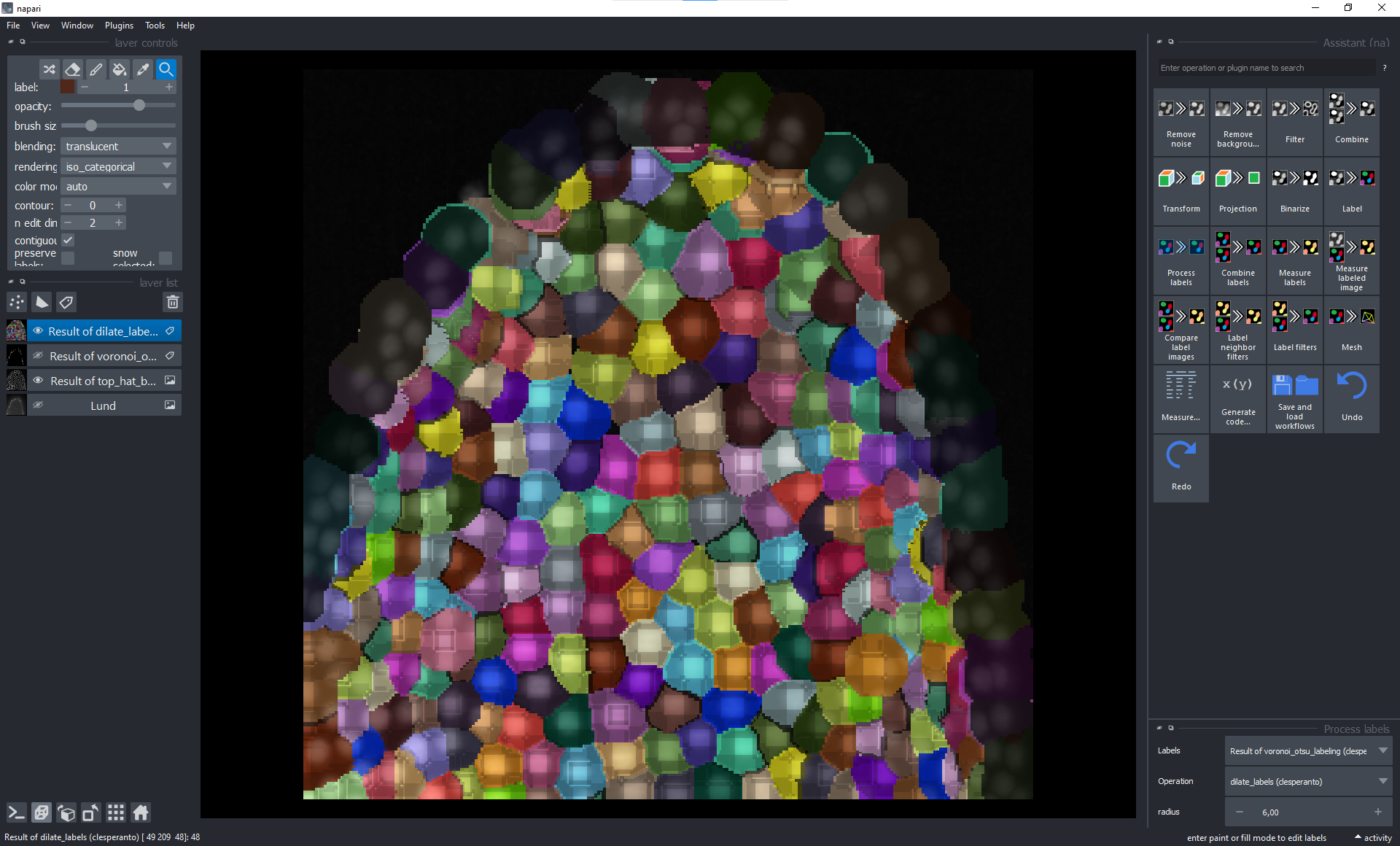 Label image 3D + image rendering issue in napari==0.4.16 / vispy 0.10.0 ...