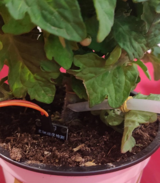 GitHub - leonben2892/PlantGrowthSystem_Embedded: Software Engineer ...