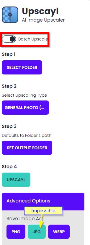 JPG impossible avec Batch Upscale · Issue #238 · upscayl/upscayl · GitHub