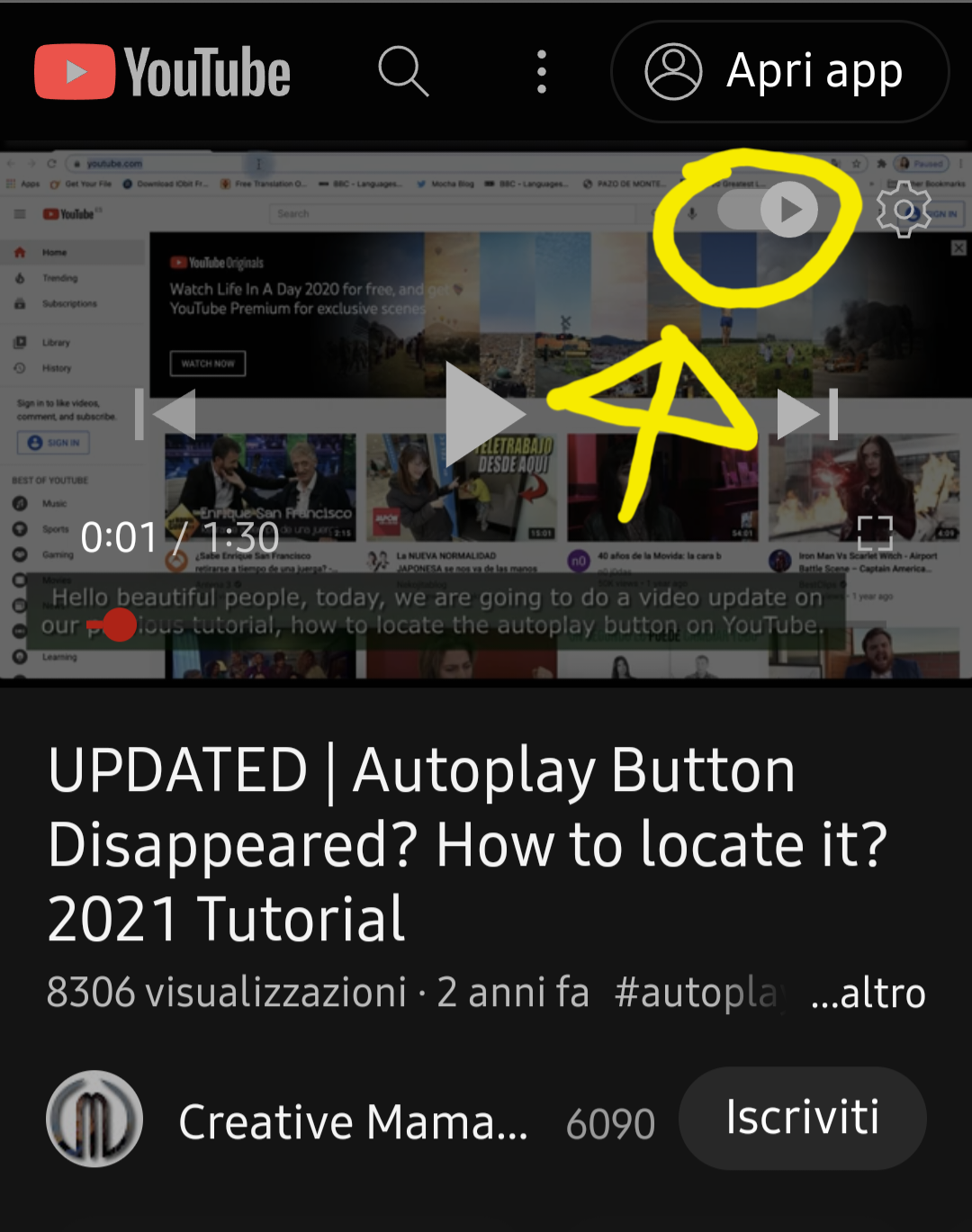 Make auto-play button style more explanatory · Issue #3937 · libre-tube ...