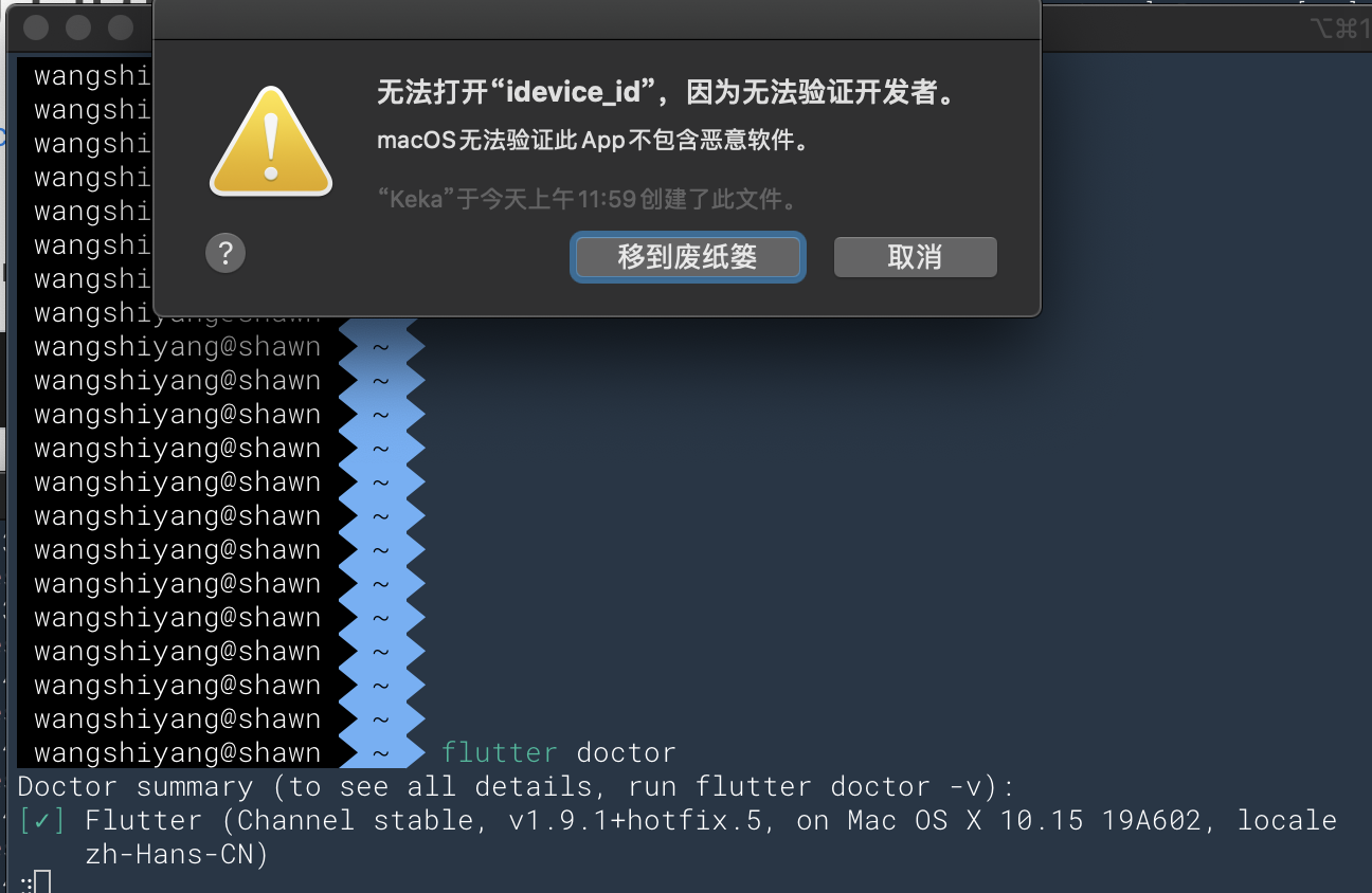 flutter doctor error · Issue #43237 · flutter/flutter · GitHub