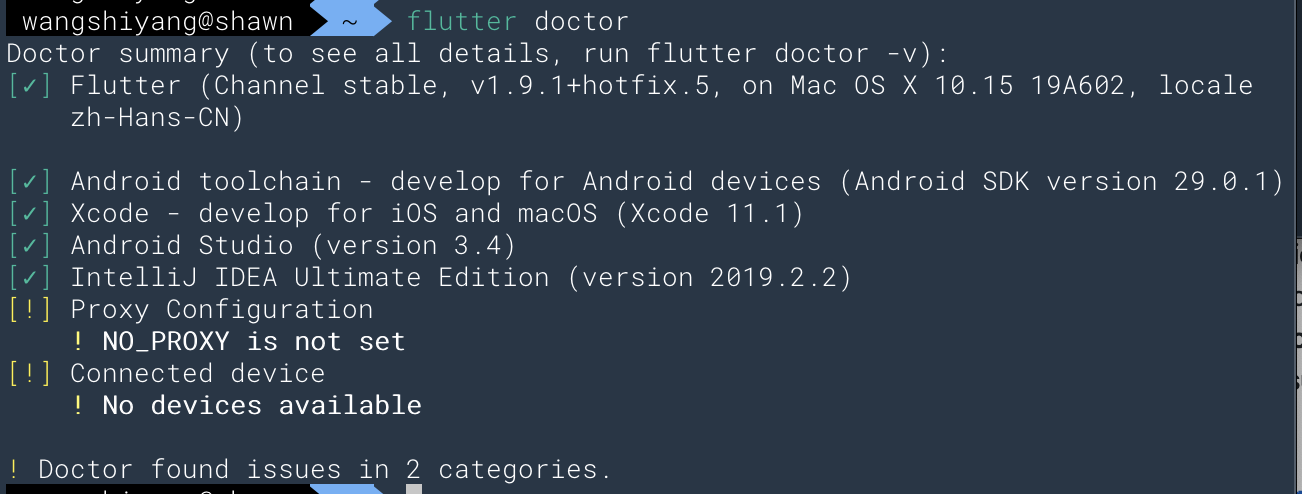 flutter doctor error · Issue #43237 · flutter/flutter · GitHub