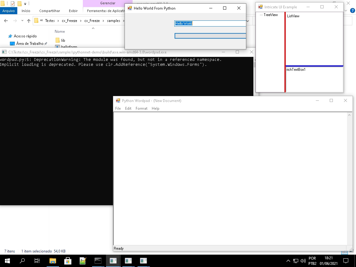 Pythonnet initialization issue · Issue #1049 · marcelotduarte/cx_Freeze ...