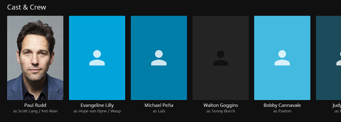 [Issue]: Actors images are not displayed · Issue #9182 · jellyfin ...