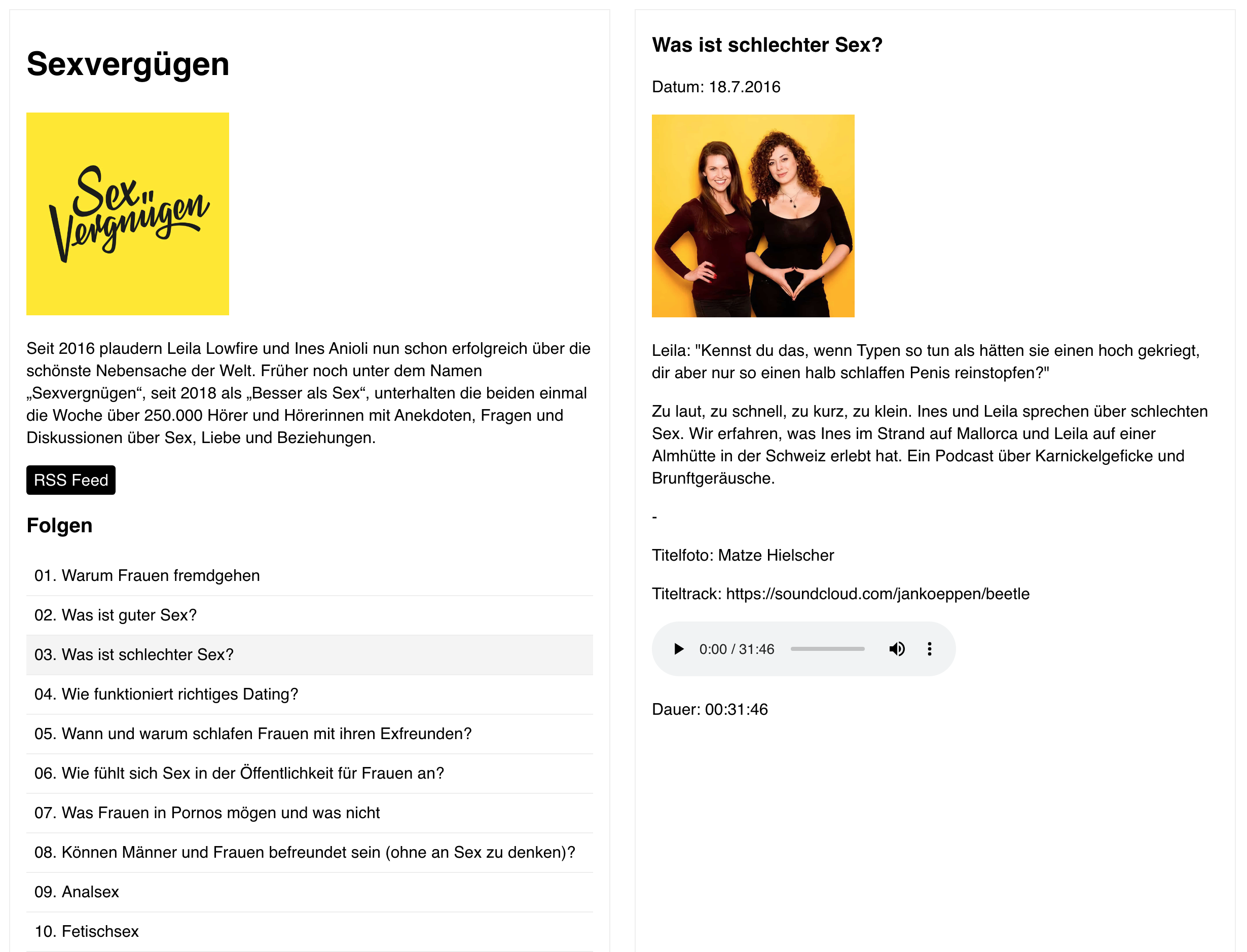 sexvergnuegen-website-screenshot