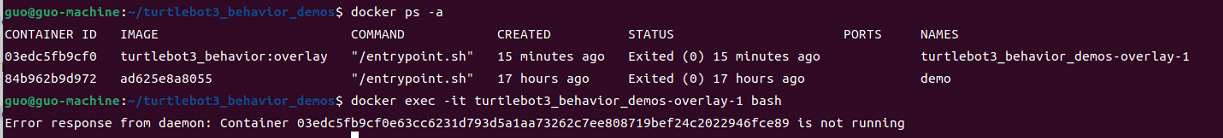 Container has created but it shown Container is not running when exec ...