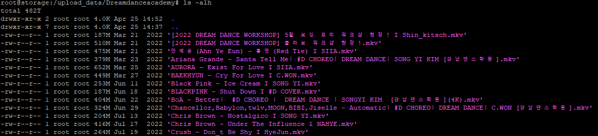Dreamdanceacademy storage