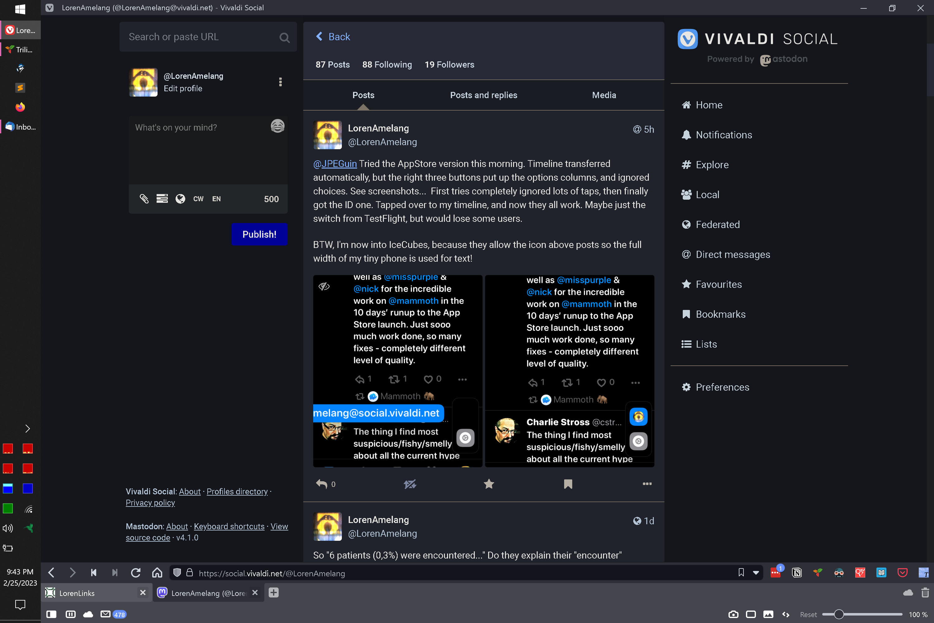 Mastodon web shows chosen bottom icons