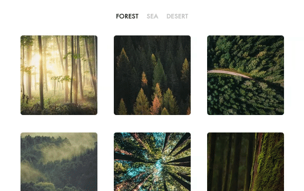 Vue Router Animations