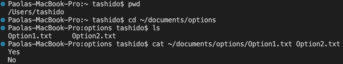 paolakmeza · GitHub