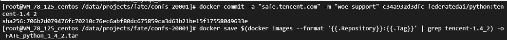 docker commit is not saving my changes in container to new image in the ...