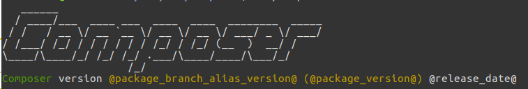 Not easy to get package version · Issue #208 · infection/infection · GitHub