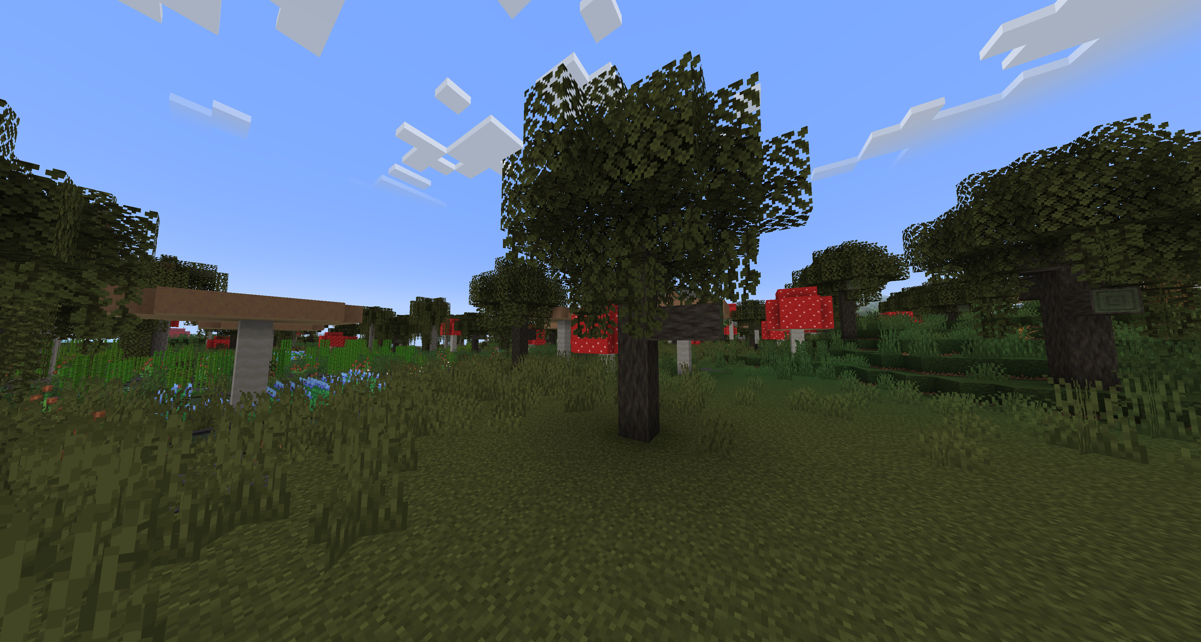 Muddy Oak Trees