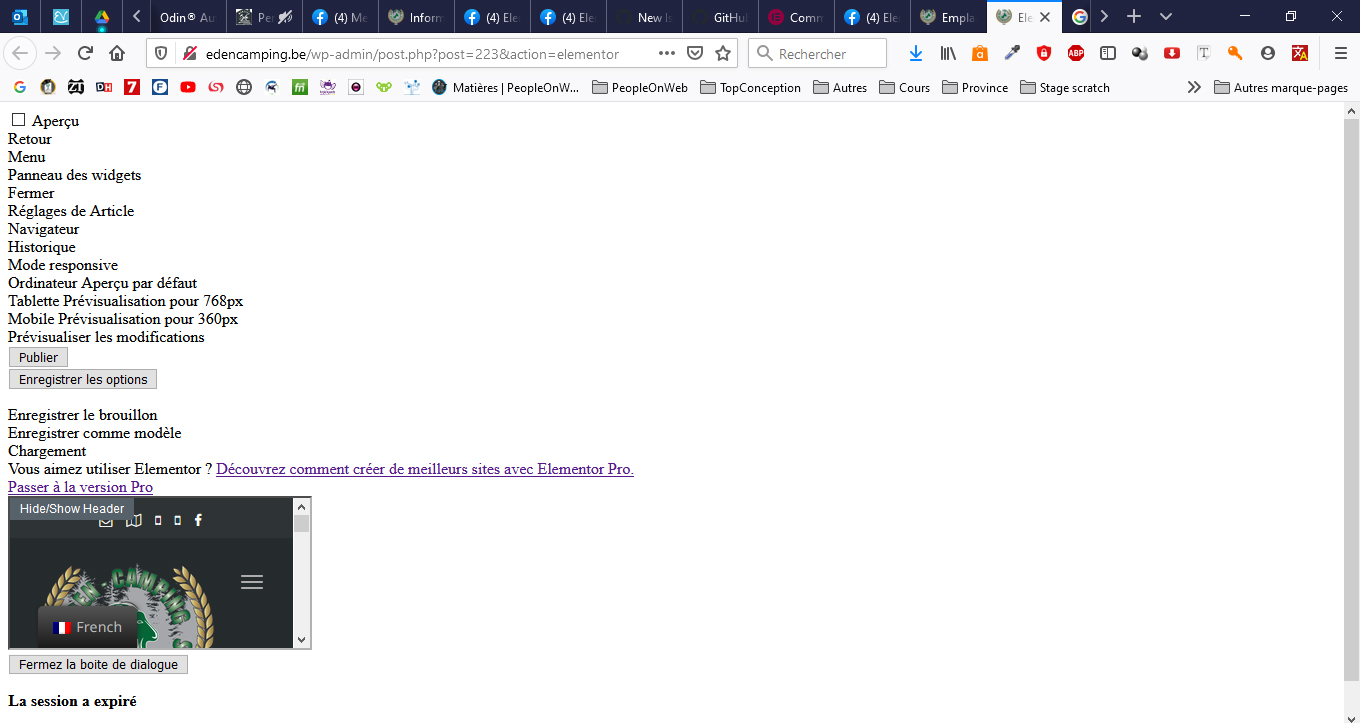 Elementor no longer works · Issue #13860 · elementor/elementor · GitHub