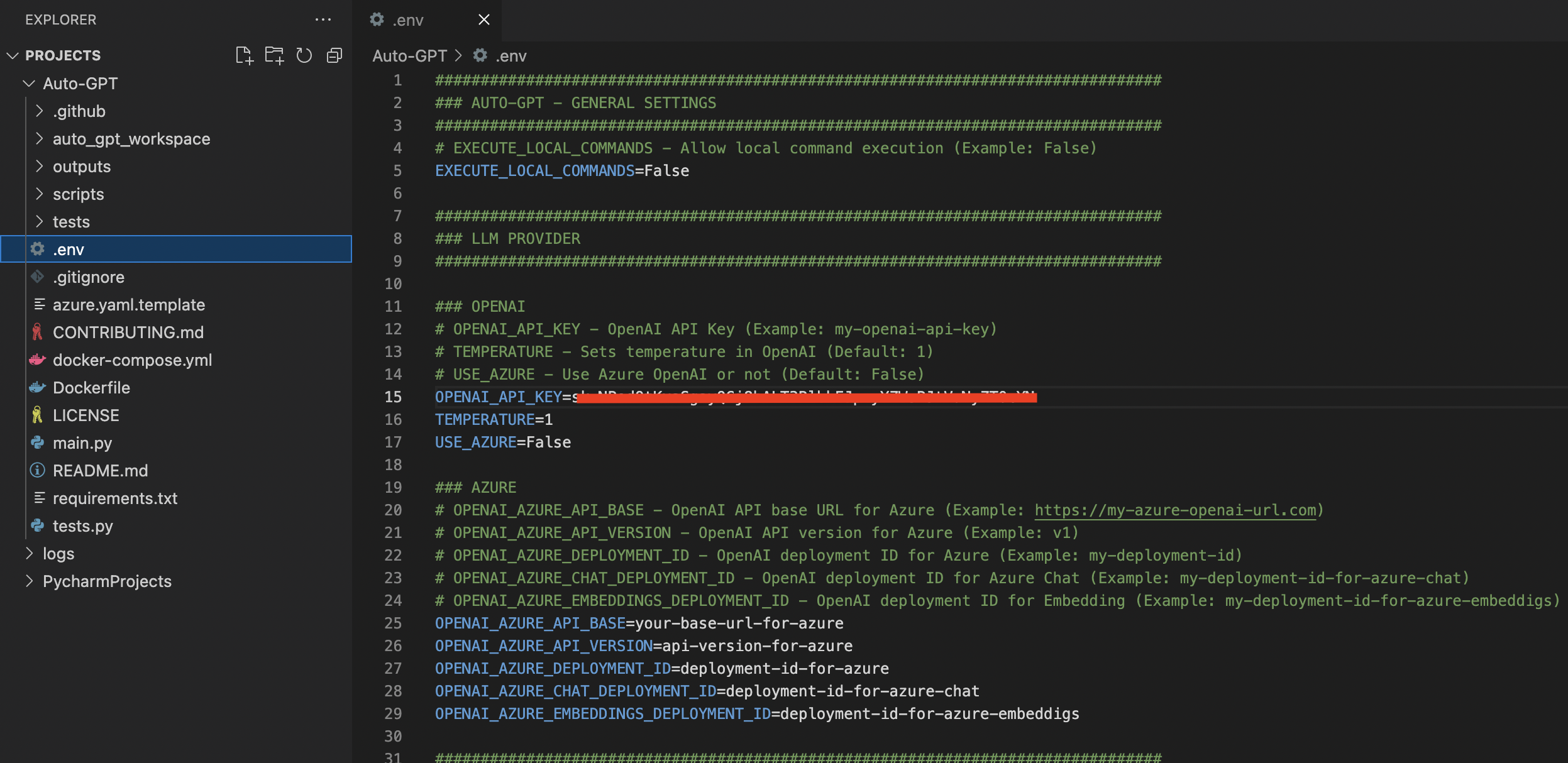 Issue W env Or Config py Not Recognizing OPENAI API Key Os X 12 4 