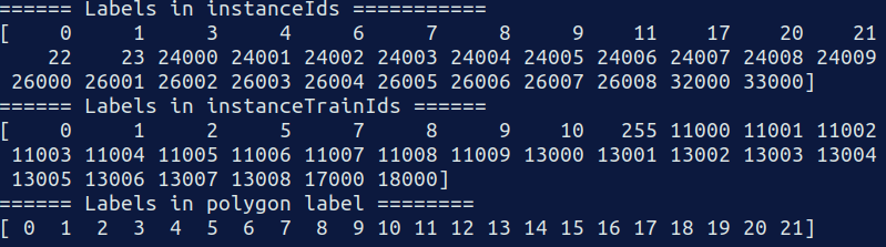 Inconsistent instance segmentation labels between *_instanceIds.png and ...