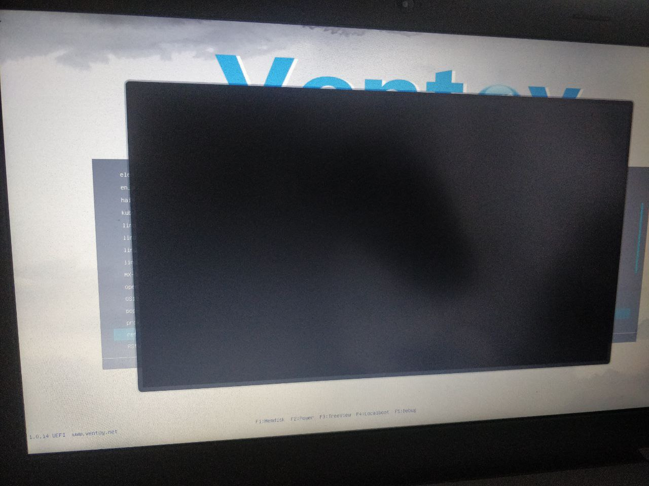refind_x64.efi fails to boot · Issue #261 · ventoy/Ventoy · GitHub