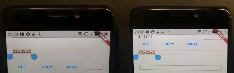 fix_flutter_issues_29808_1
