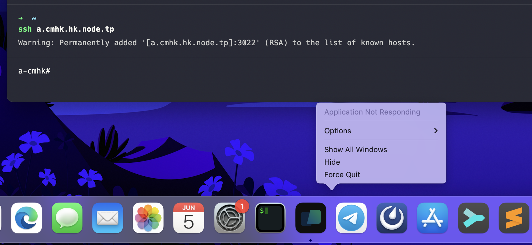 Warp does not respond when SSH connecting to Linux server · Issue #1455 ...