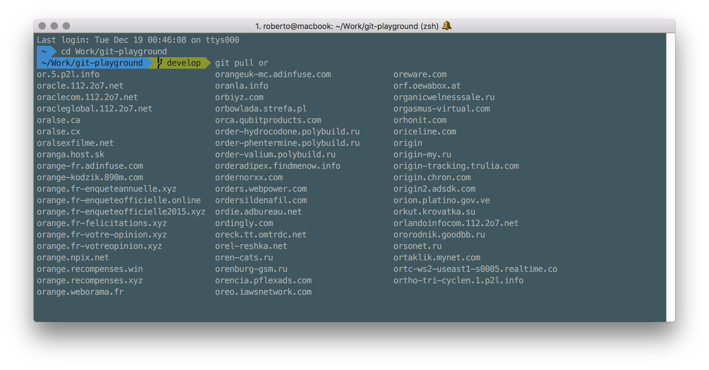 Why git get so many options? · Issue 6495 · ohmyzsh