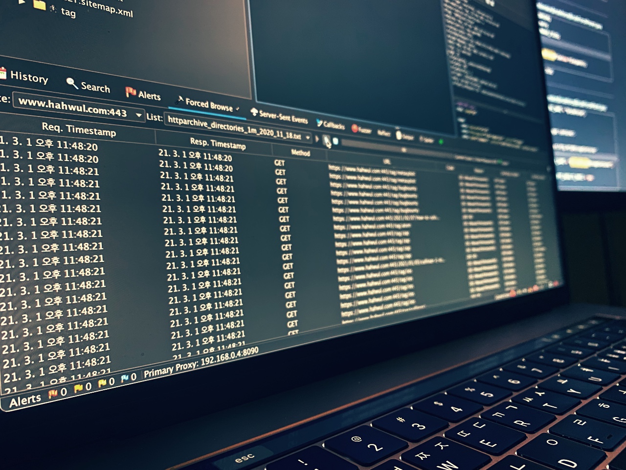 Featured image of post ZAP Forced browse ์ Fuzz์์ Sync wordlist ์ฌ์ฉํ๊ธฐ